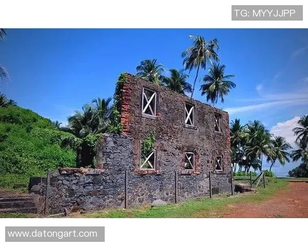 法属圭亚那与圭亚那的历史文化差异与发展现状探讨